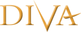 Логотип компании Дива